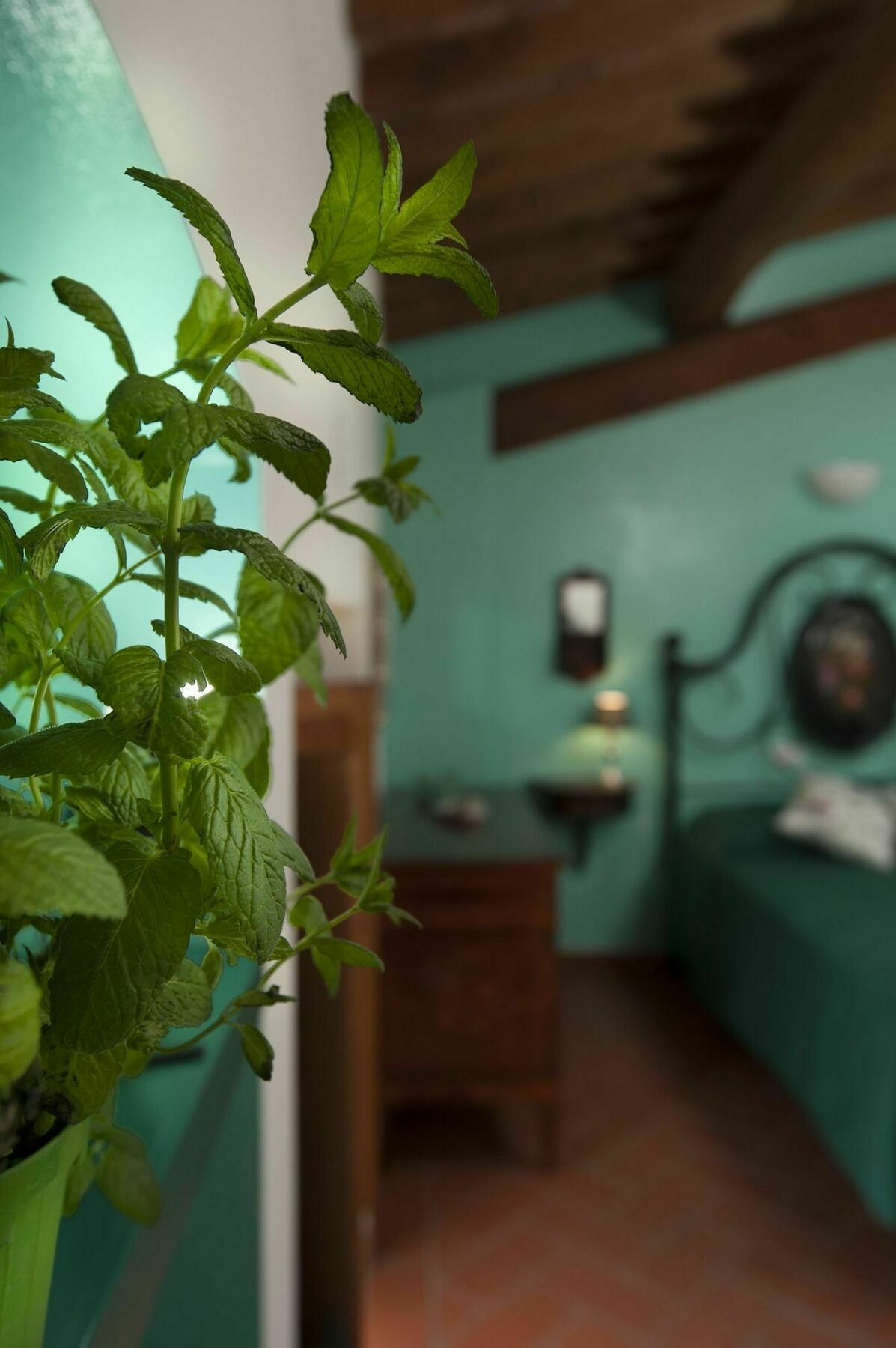 Bed and Breakfast Antico Granaione à Rapolano Terme Extérieur photo